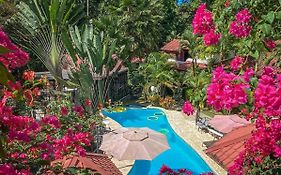 The Scarlet Villas